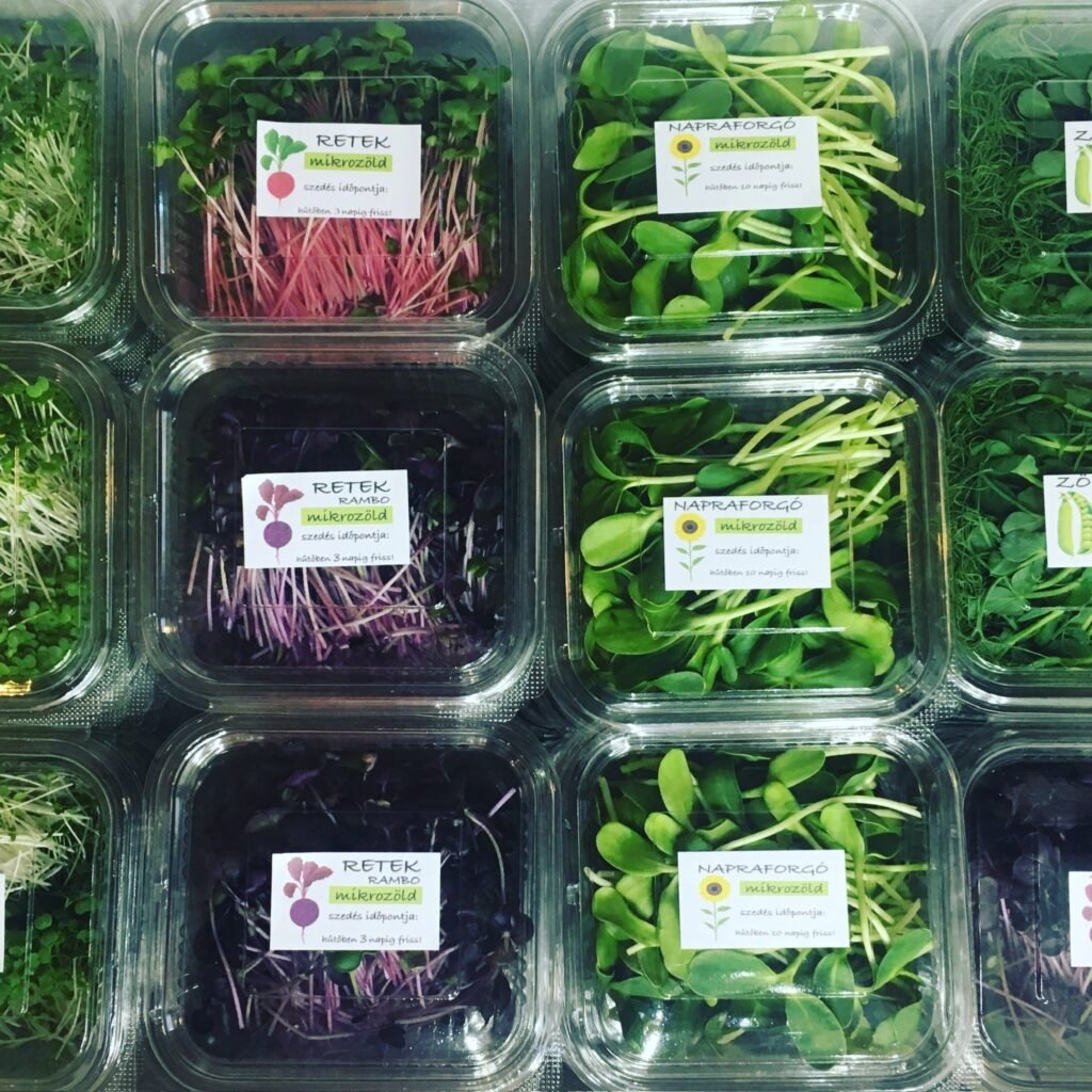 MicroJuice MikroZöld