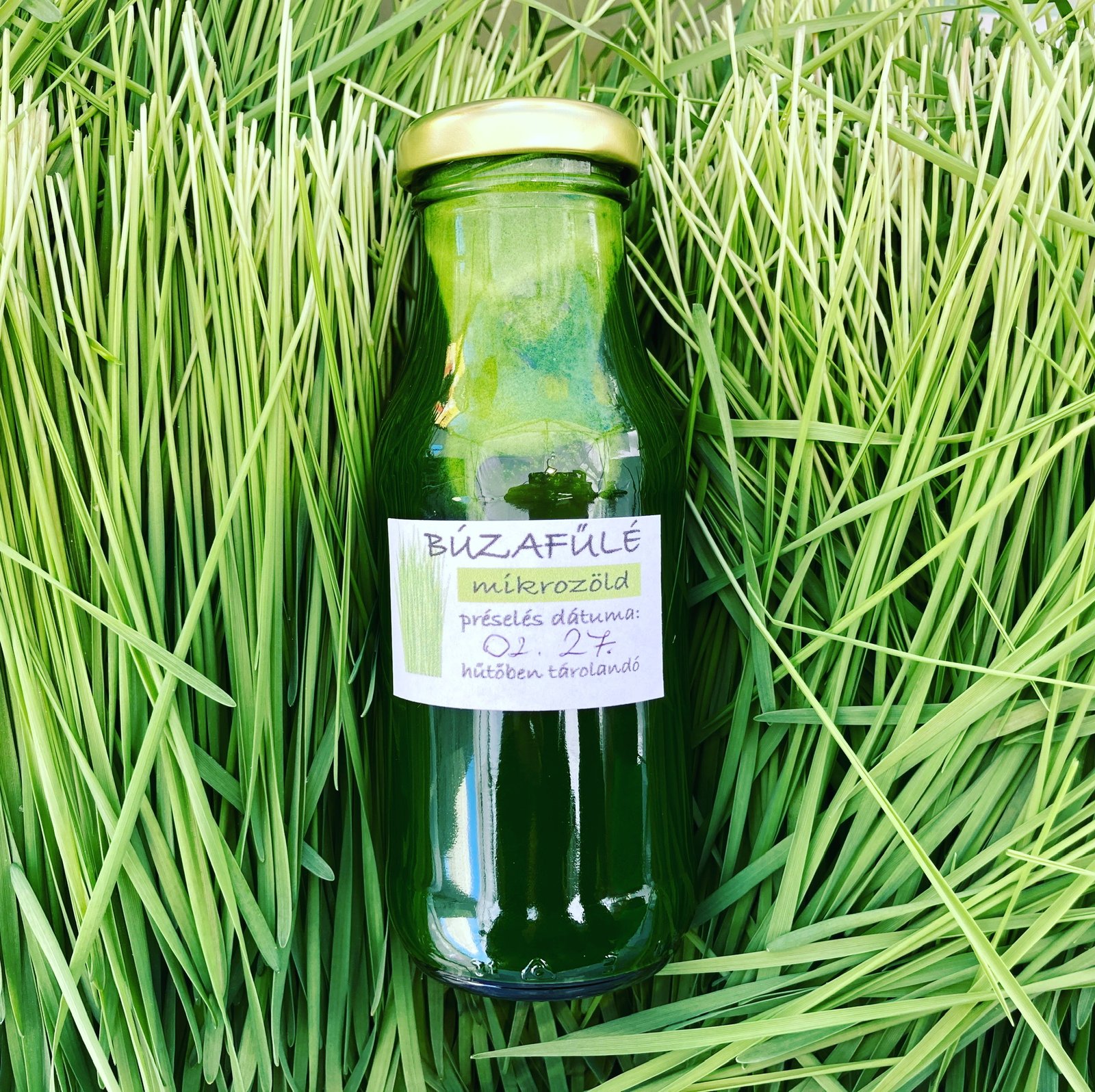 búzafű és búzafűlé