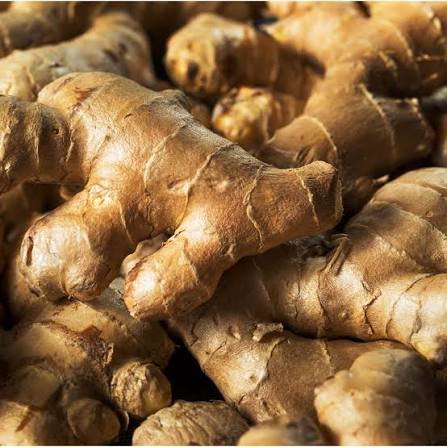 Gyömbér – Zingiber Officinale