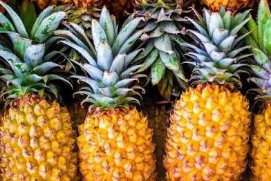 Ananász – Ananas Comosus